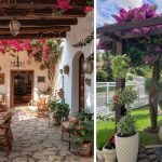 Guía para elegir plantas de sombra en pérgolas